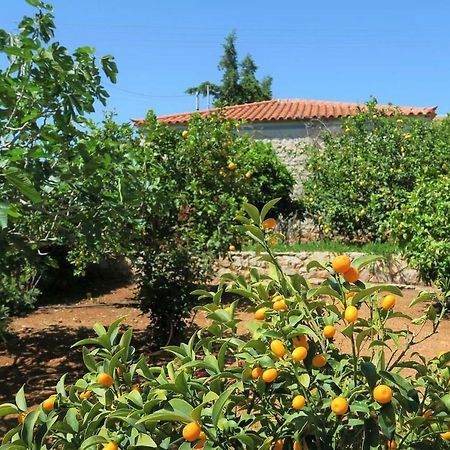 Aeolos A Family Paradise Few Steps From The Beach Kouverta Esterno foto