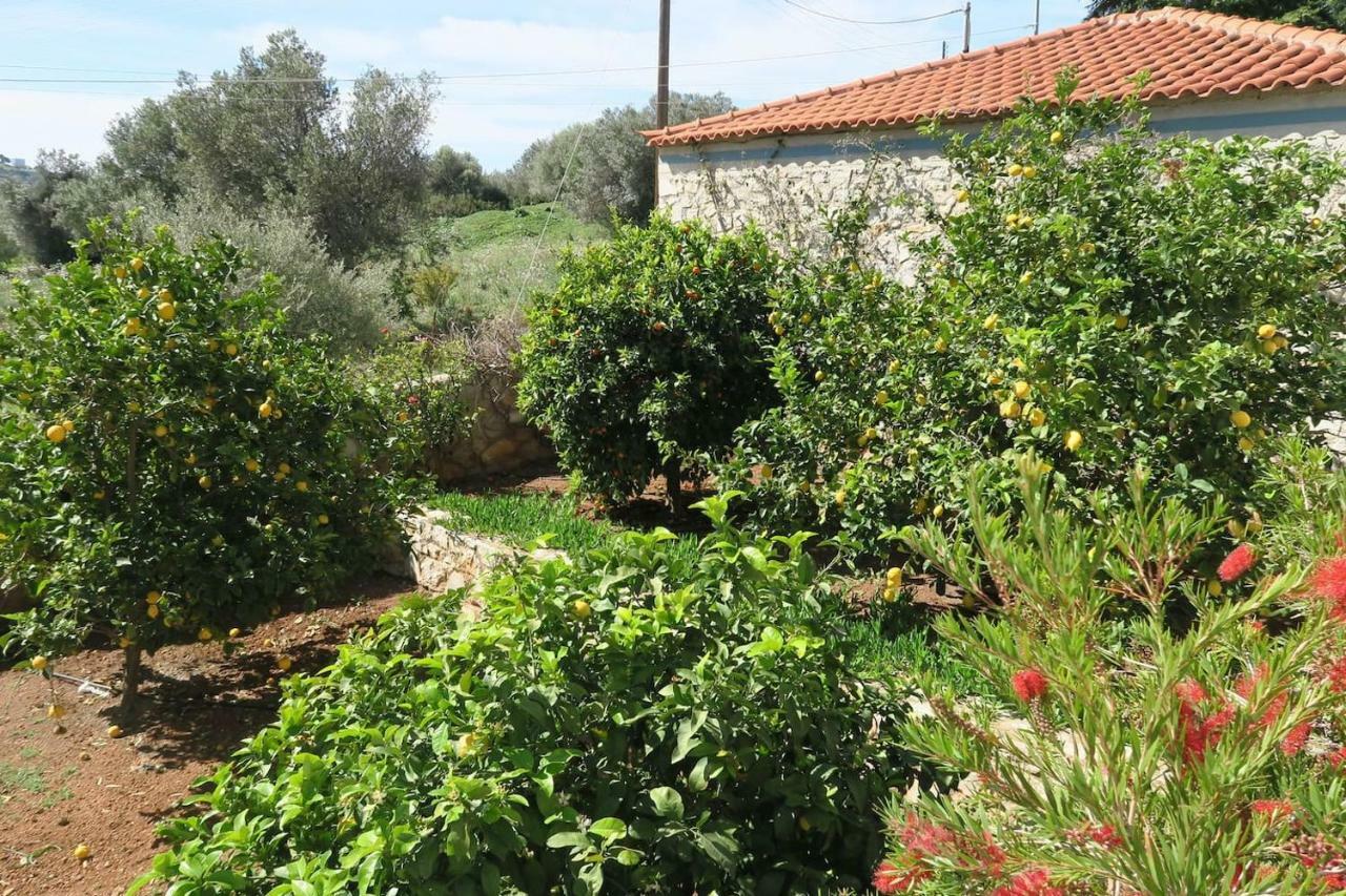 Aeolos A Family Paradise Few Steps From The Beach Kouverta Esterno foto
