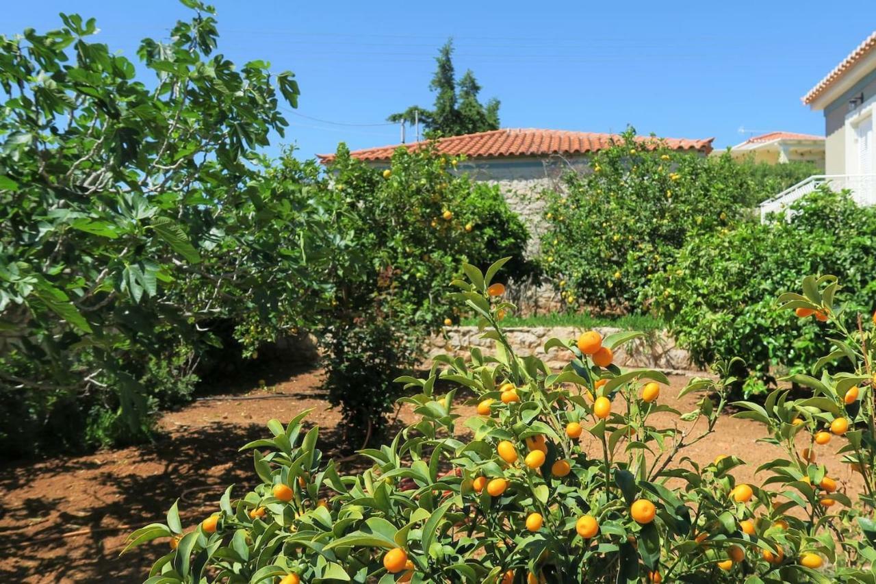 Aeolos A Family Paradise Few Steps From The Beach Kouverta Esterno foto